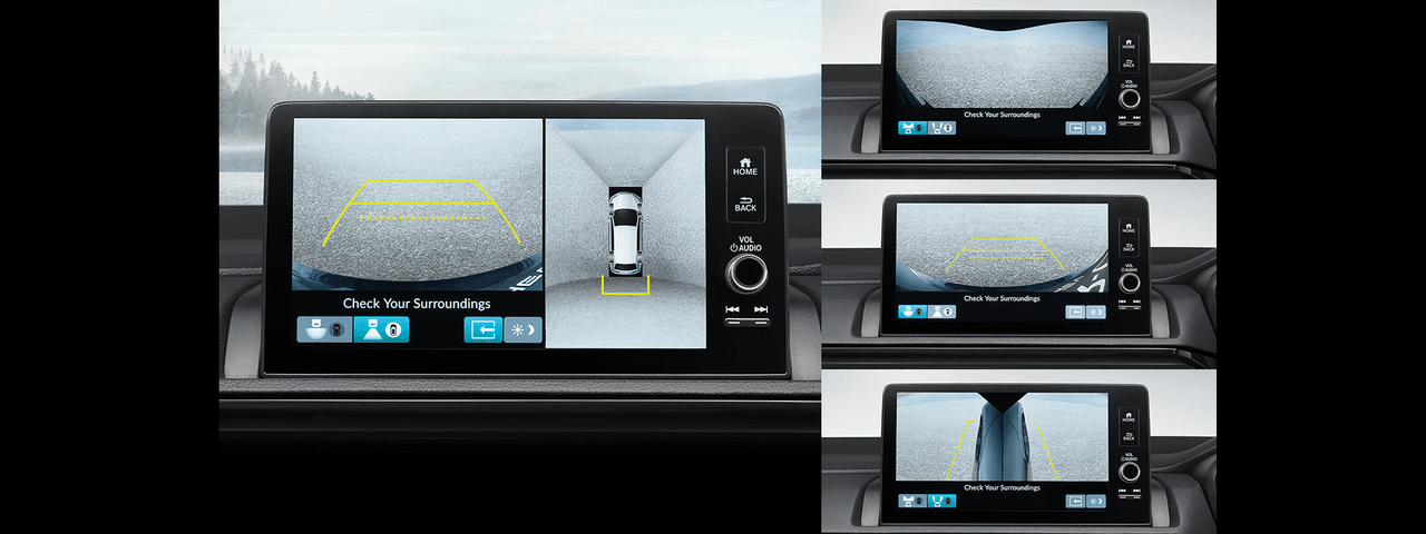 Multi-angle Rear Camera Viewer