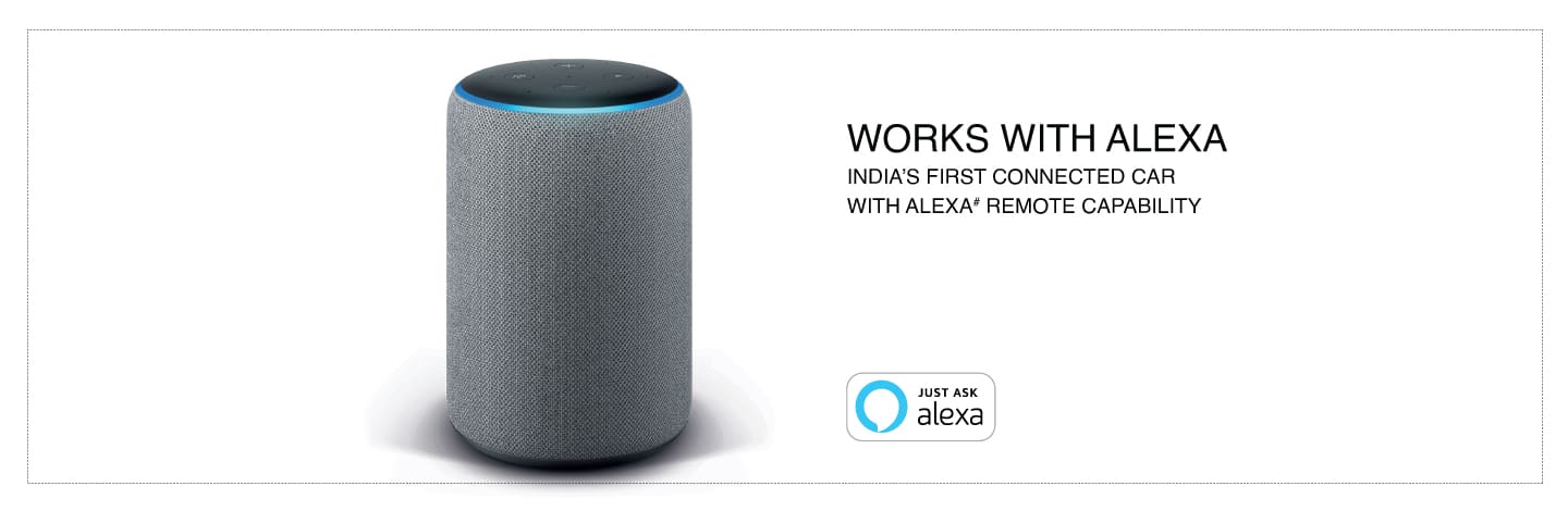 Remote ALEXA Access