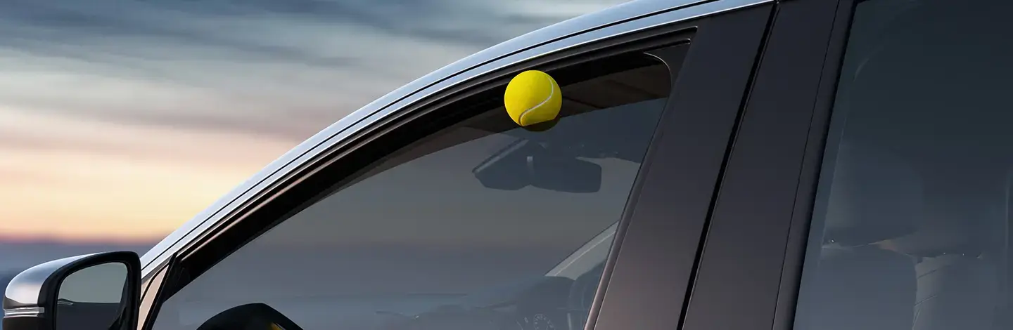 All power window Auto UP/Down with pinch Guard
