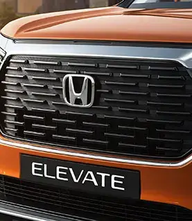 Front Grille Garnish