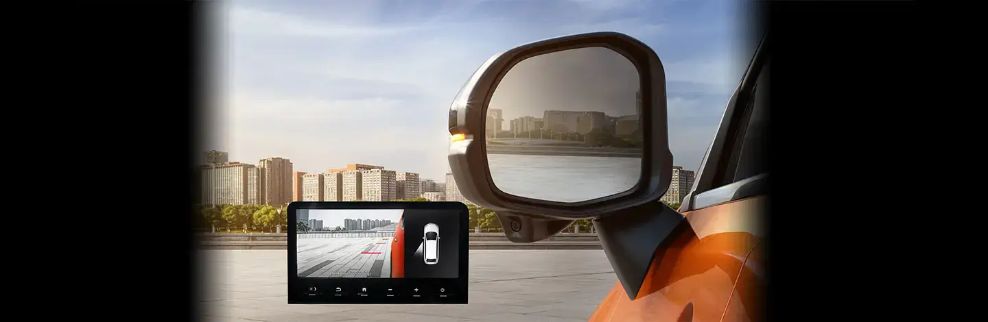 Lane Watch Camera