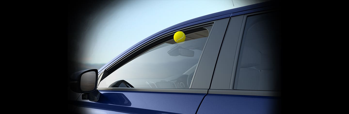 All Power Windows Auto Up/Down With Pinch Guard