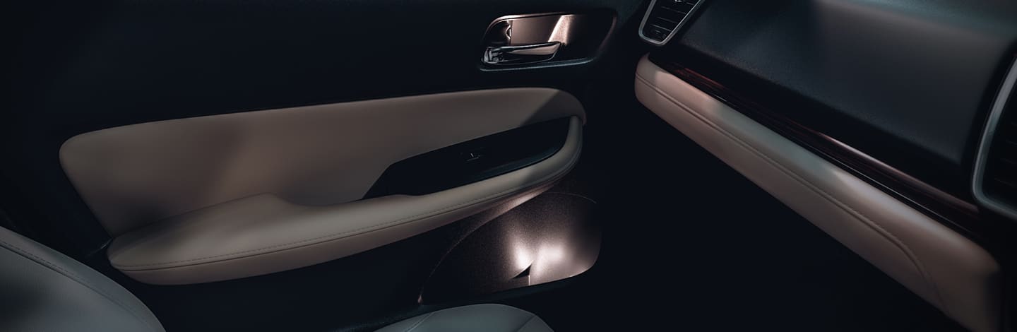 Ambient Light (Front Door Inner Handles & Front Door Pockets)