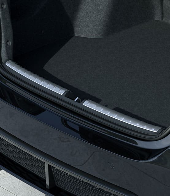 Trunk Entry Guard