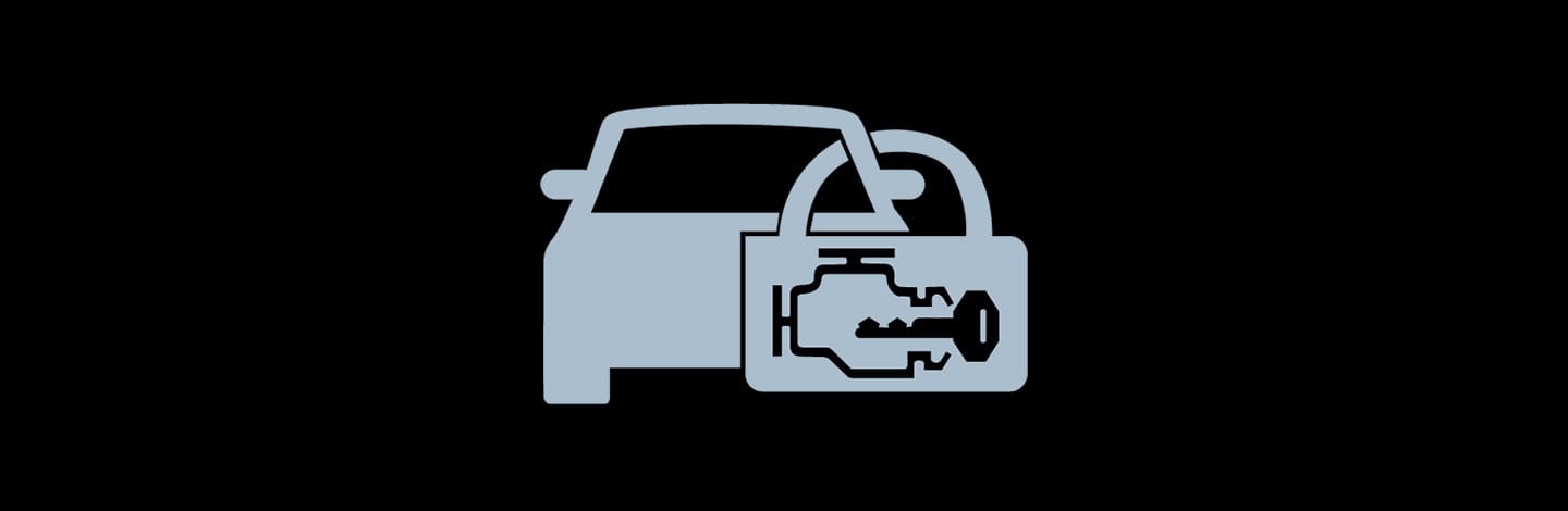 Immobilizer With Anti-Theft Alarm