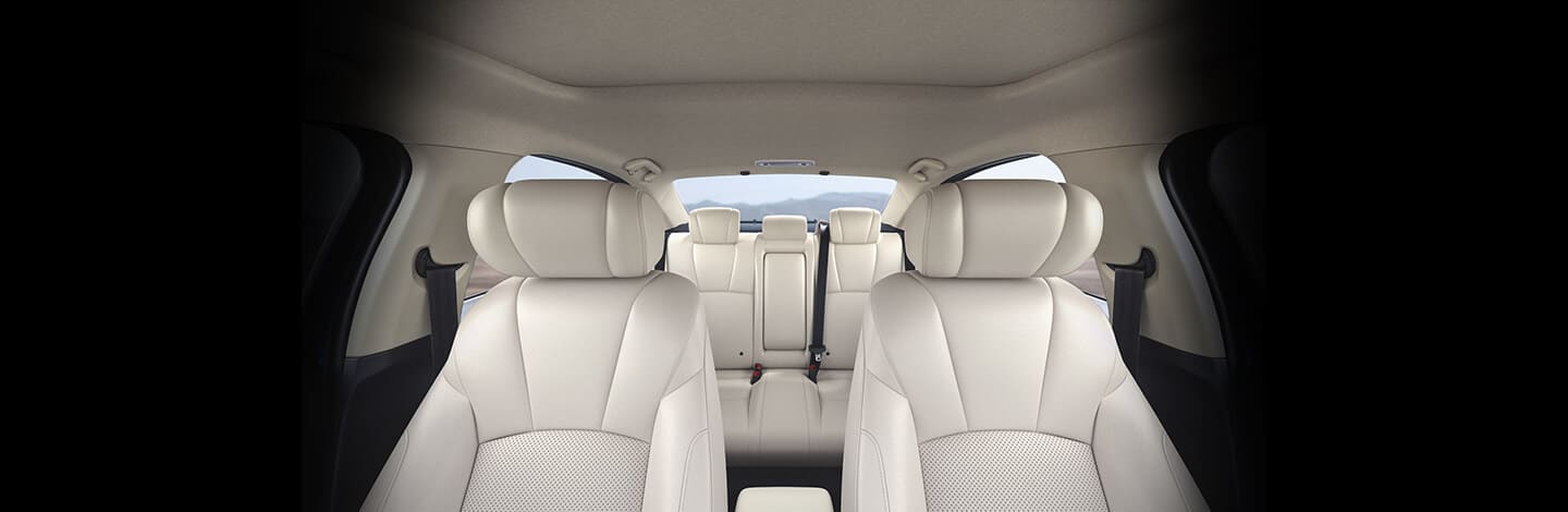 All Seats head restraints with 3-point ELR seatbelts