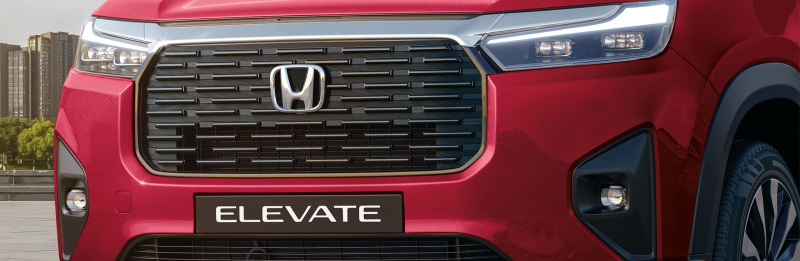 Alpha-Bold Signature Grille