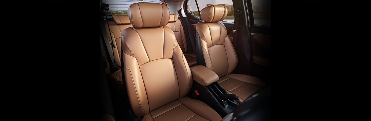 Luxurious Brown & Black Two-Tone Colour Interiors
